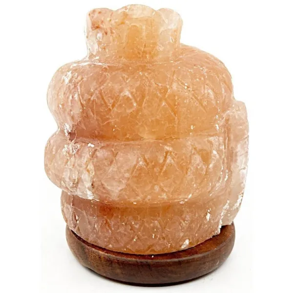 Schlangenlampe aus Himalaya-Salzkristall