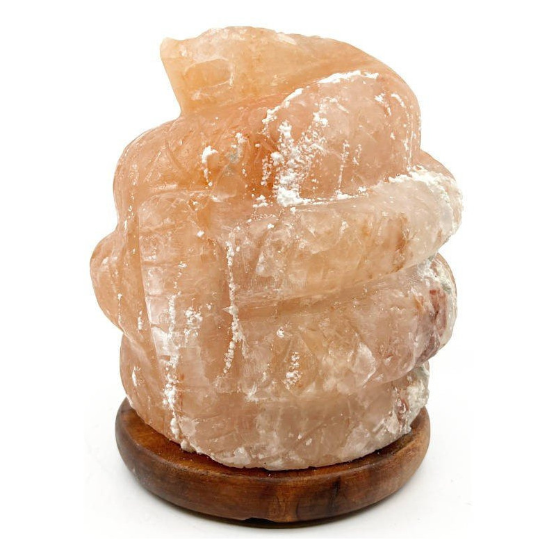 Himalayan Salt Crystal Snake Lamp
