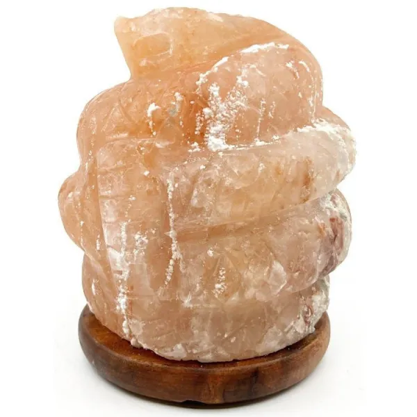 Schlangenlampe aus Himalaya-Salzkristall