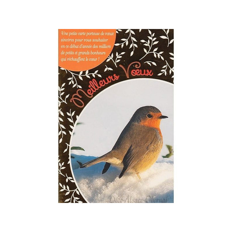 Bird on Snow Greeting Card Best Wishes