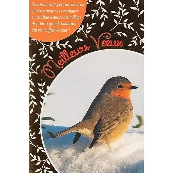 Grußkarte Vogel auf Schnee Besten Wunsch