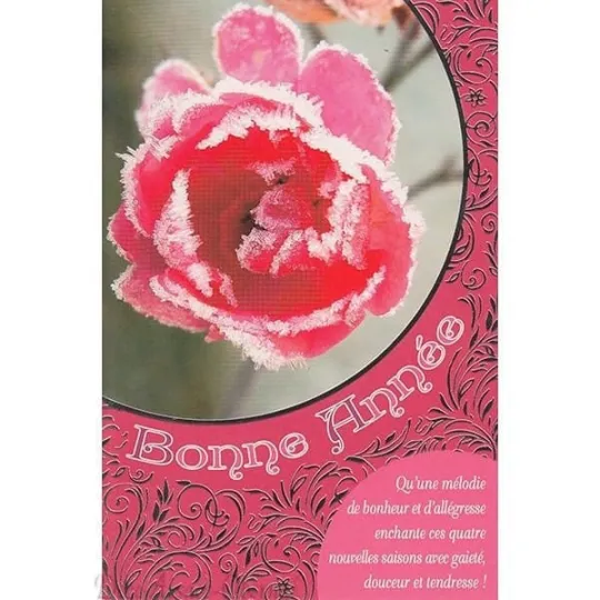 Carte de Voeux Rose Givrée Bonne Année