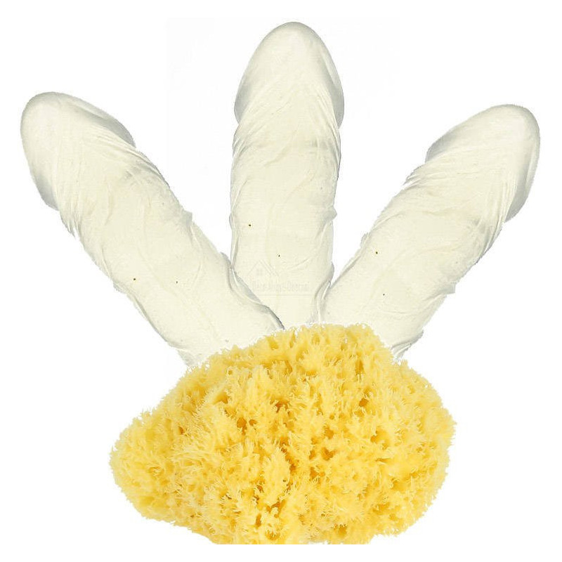 Savon Pénis Coquin Neutre grand modèle