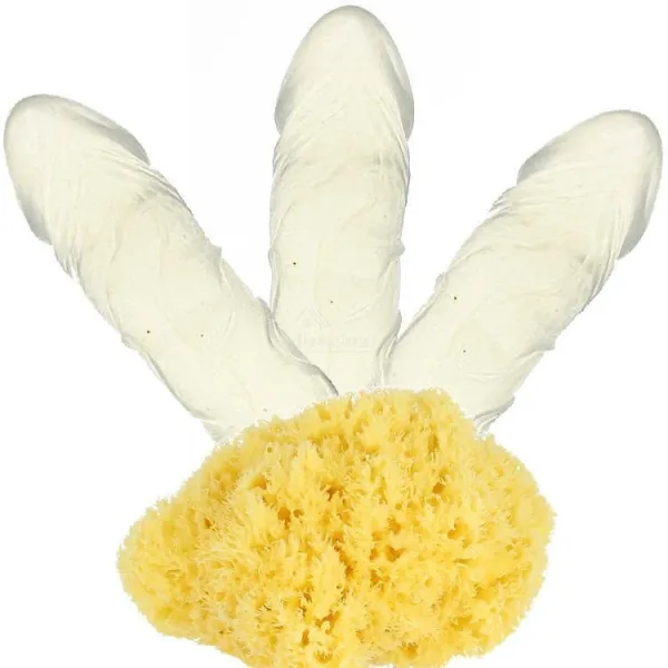 Savon Pénis Coquin Neutre grand modèle