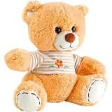 Teddy Bear with T-Shirt