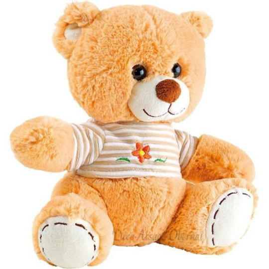 Teddybär mit T-Shirt
