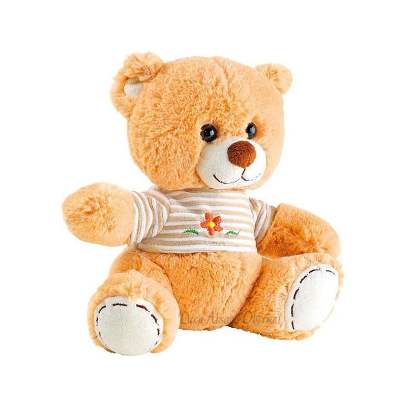 Teddybär mit T-Shirt