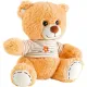 Ours en Peluche avec T-Shirt
