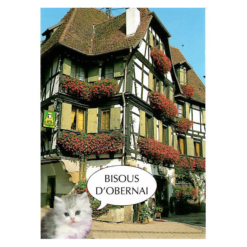 Carte Postale Maison Colombage d'Obernai