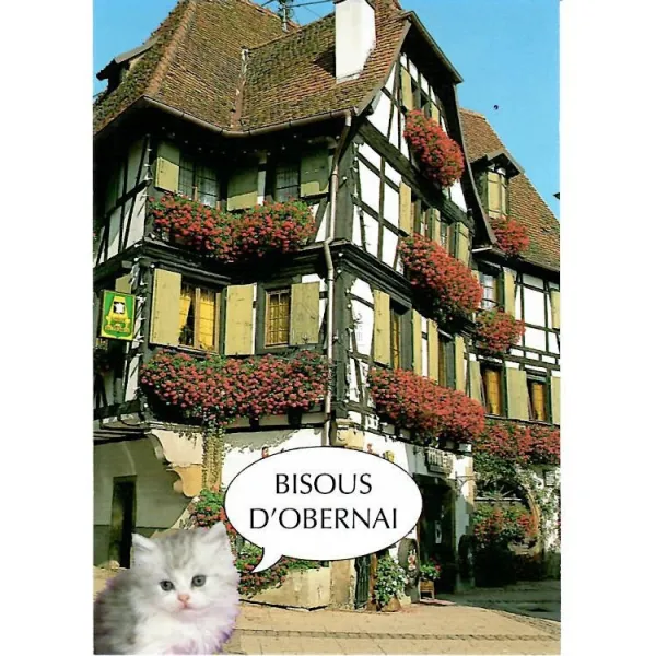 Carte Postale Maison Colombage d'Obernai