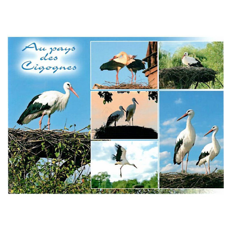 Carte Postale Au Pays des Cigognes