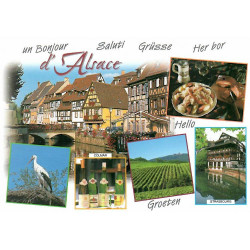 Carte Postale Colmar et le Quai des Poissonniers