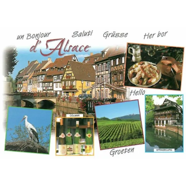 Carte Postale Colmar et le Quai des Poissonniers