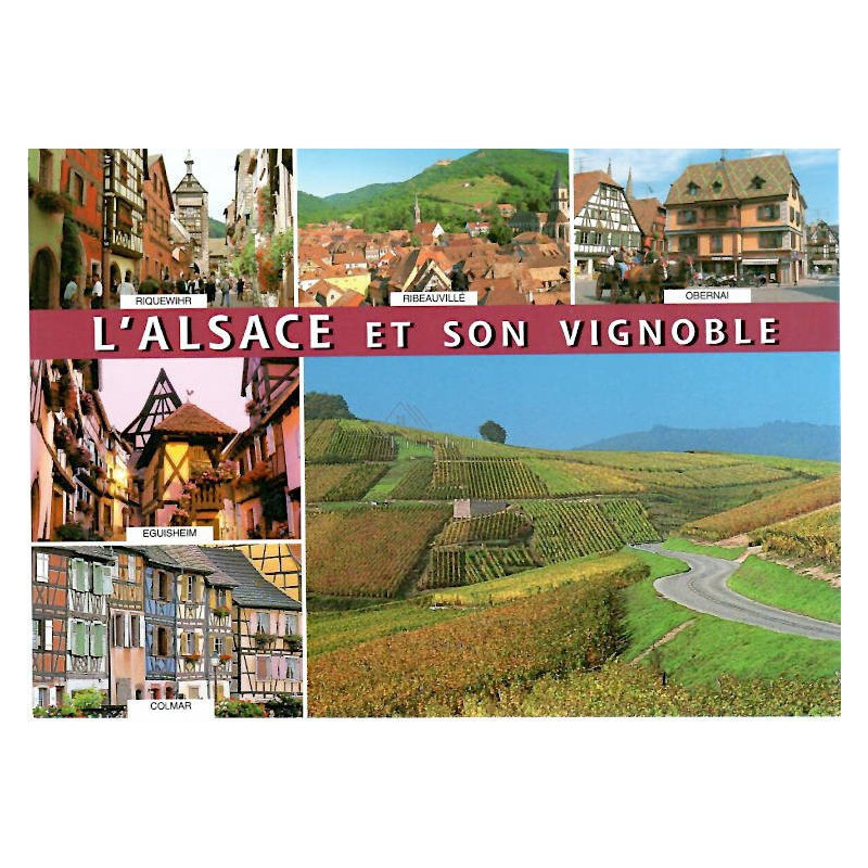 Carte Postale l'Alsace et son Vignoble