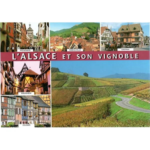 Carte Postale l'Alsace et son Vignoble