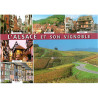 Carte Postale l'Alsace et son Vignoble