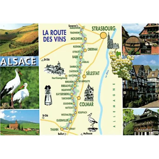 Carte Postale vues d'Alsace et Route des Vins