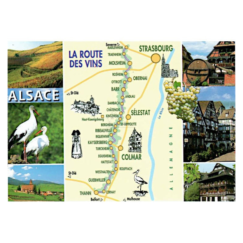 Postkarte Blick auf Elsässer Weinstraße