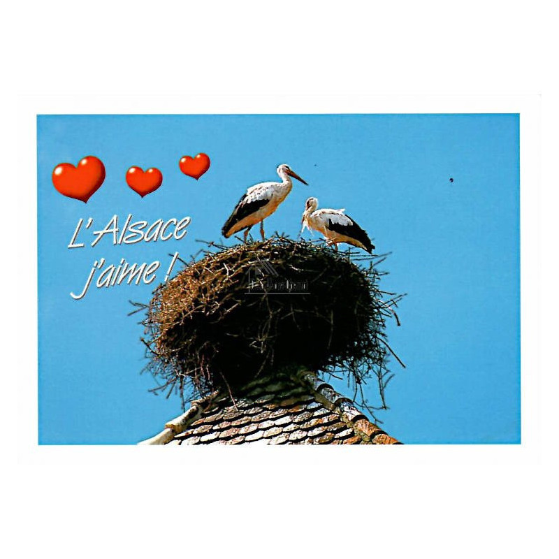 Postcard Picturesque Alsace Gros Bisous