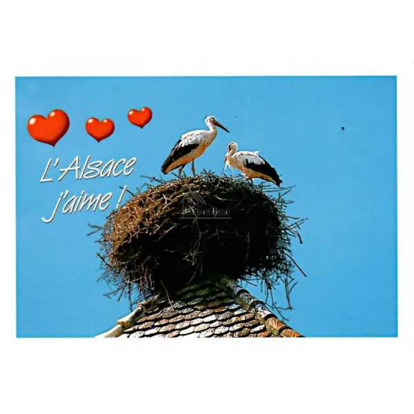 Carte Postale l'Alsace Pittoresque Gros Bisous