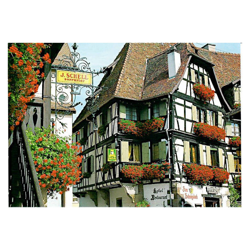 Maison Schell Serrurier Fleurie Postcard
