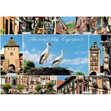 Postkarte Landschaft im Land der Störche