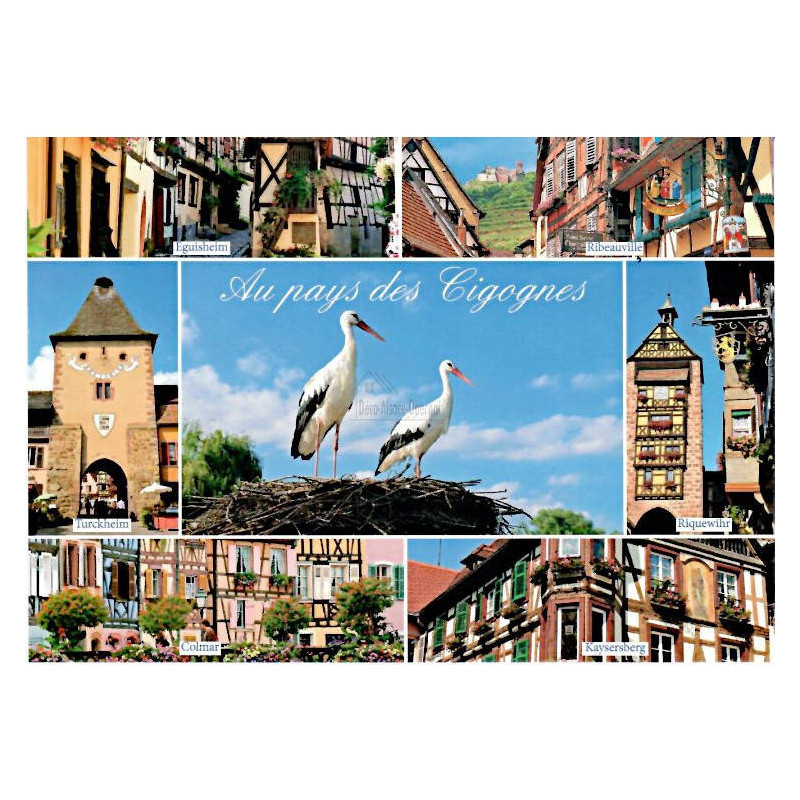 Carte Postale Paysage au Pays des Cigognes