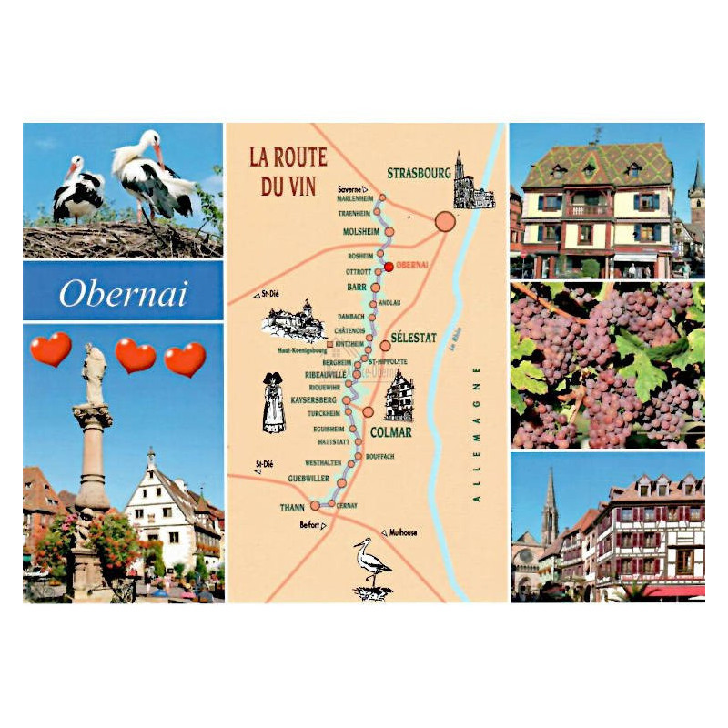 Carte Postale Obernai La Route du Vin