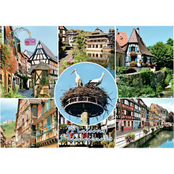 Carte Postale les Maisons Alsaciennes