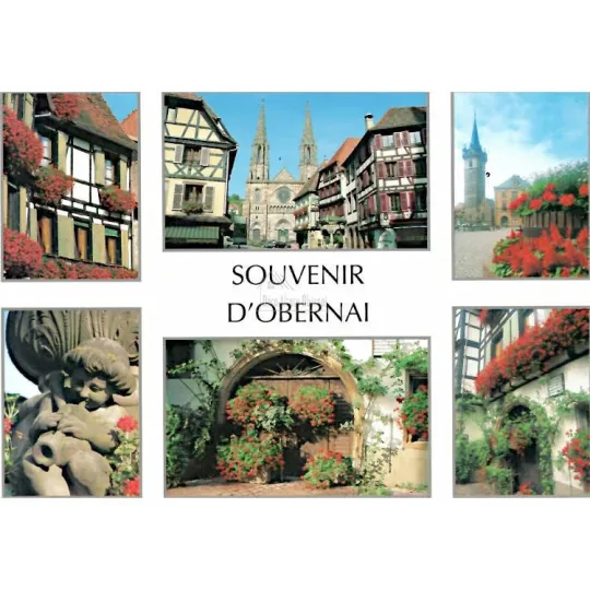 Carte Postale Alsace Souvenirs d'Obernai