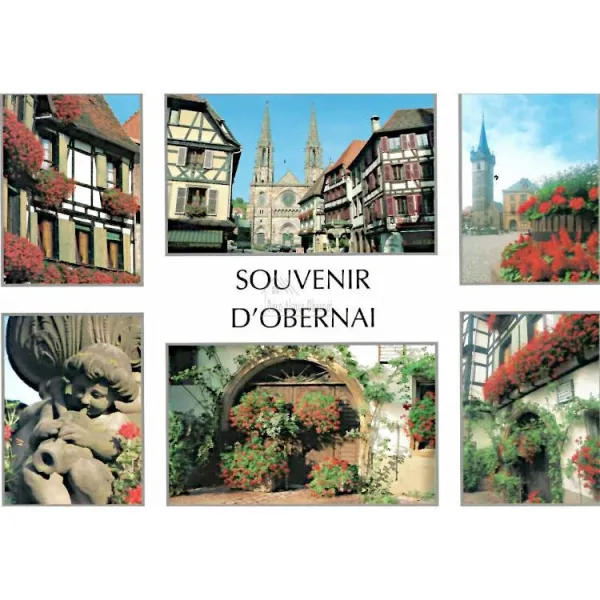 Alsace Souvenirs d'Obernai Postcard