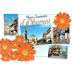 Carte Postale Bons Souvenirs d'Obernai