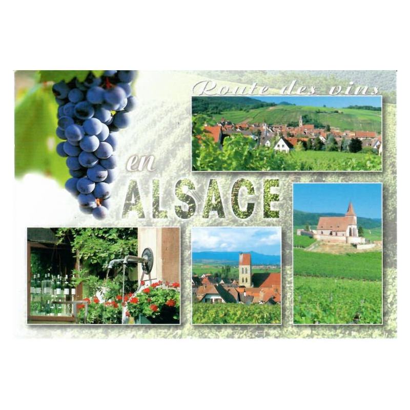 Alsace Wine Route Postcard