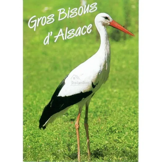 Carte Postale Cigognes d'Alsace Gros Bisous