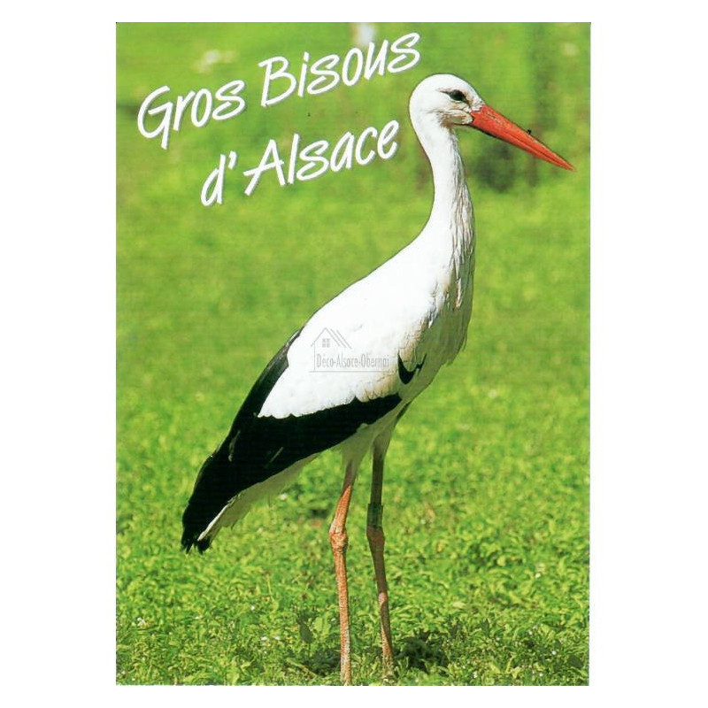 Postkarte Störche im Elsass Big Küsse