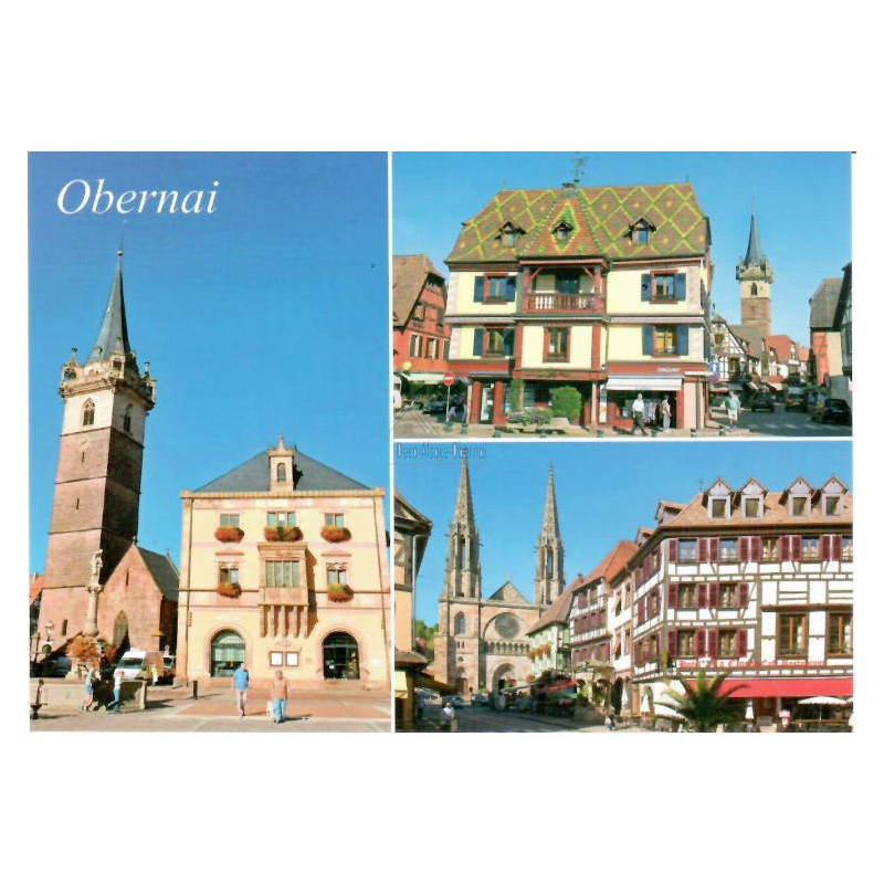 Carte Postale Village d'Obernai