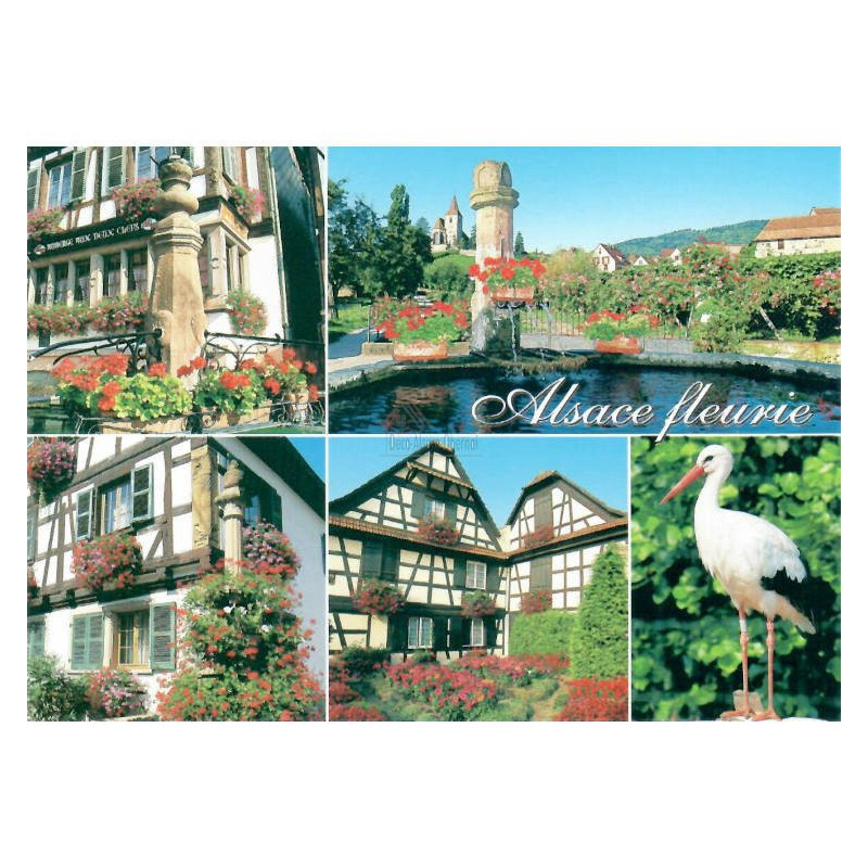 Carte Postale Villages en Alsace Fleuris
