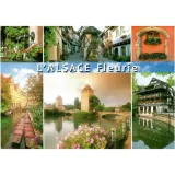 Postkarte Alsace Fleurie