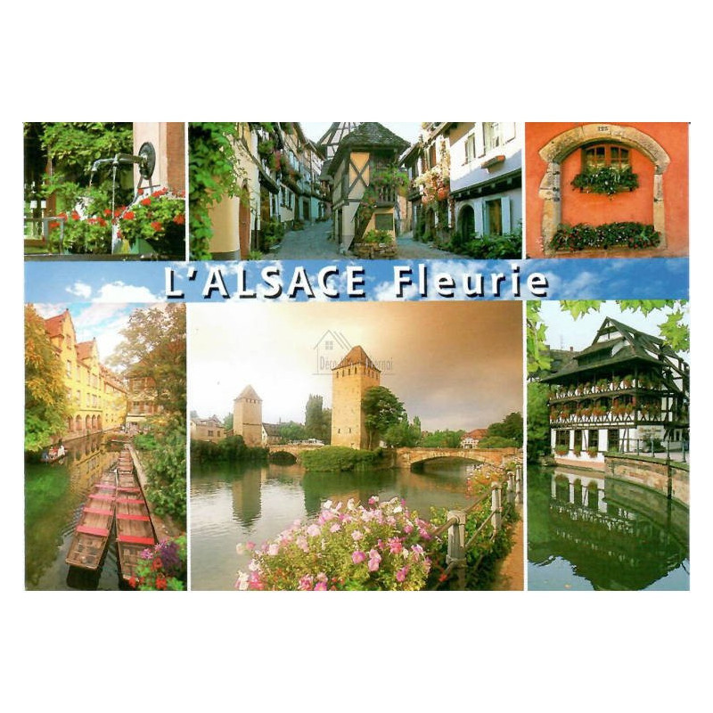 Alsace Fleurie Postcard