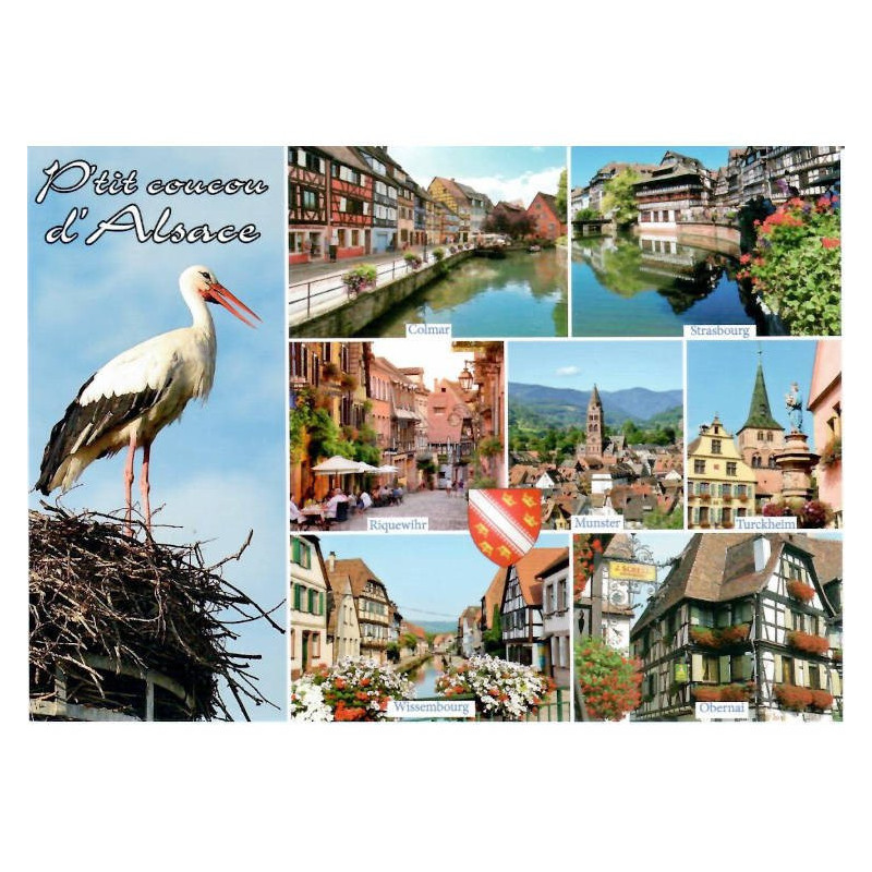 Alsace Villages and Little Cuckoo Postcard