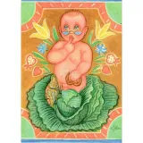 Carte Postale Naissance de Hansel