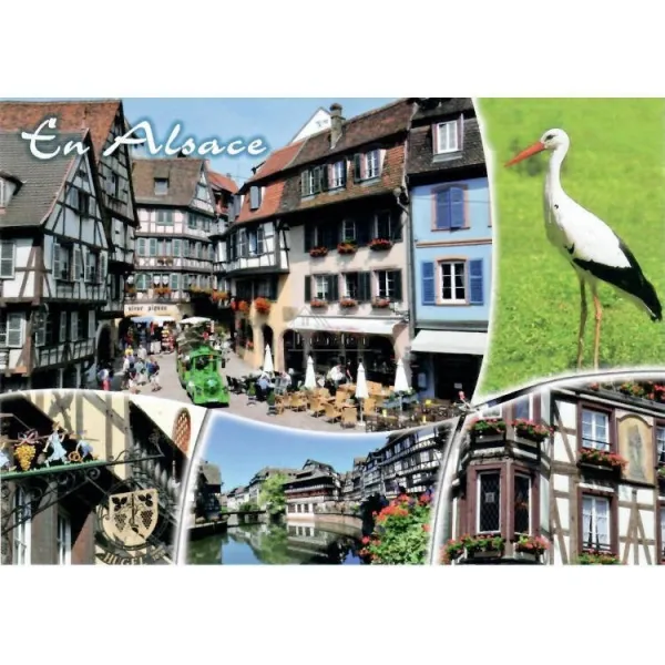 Carte Postale Vues diverses de l'Alsace