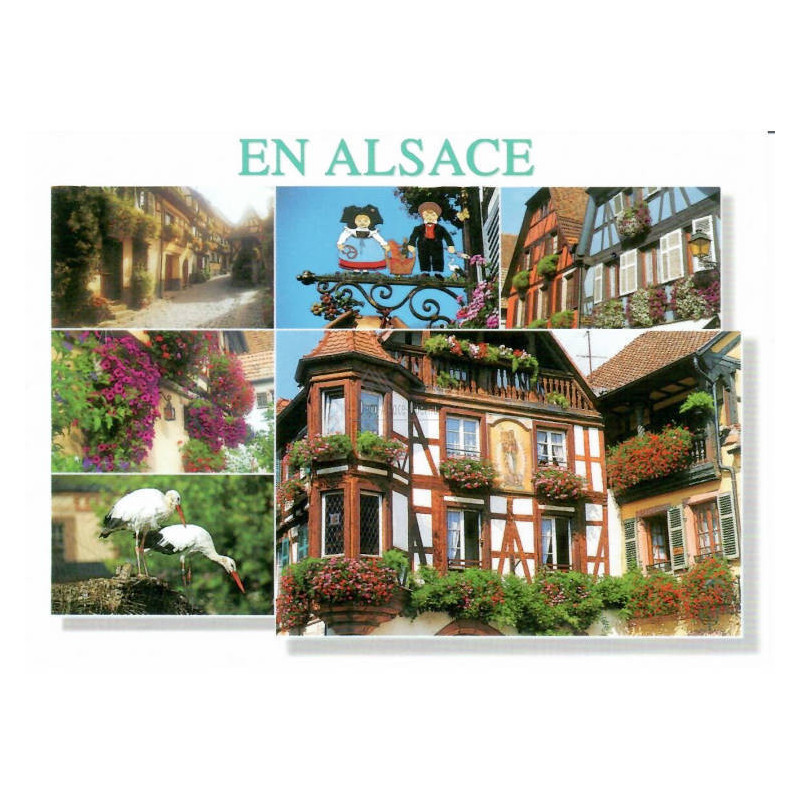 Carte Postale Paysages Fleuris