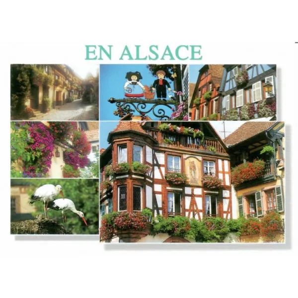 Postkarte Landschaften blühen