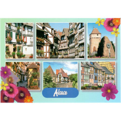 Carte Postale Souvenir de la Région d'Obernai Fleuri