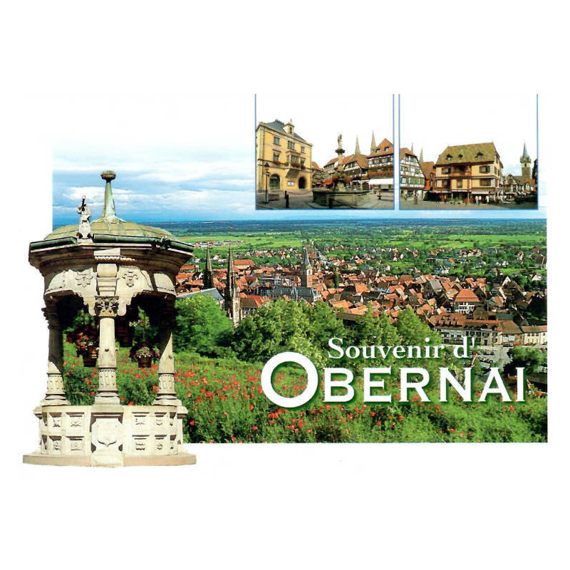 Carte Postale Le Puits d'Obernai et Maison d'Obernai