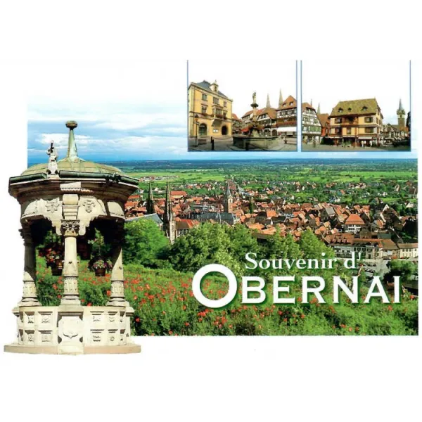 Postcard The Well of Obernai and House of Obernai