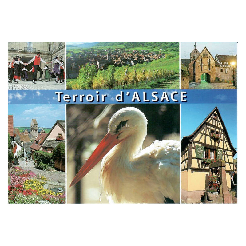 Carte Postale Les Terroirs de l'Alsace