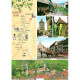 Carte Postale Vues d'Obernai