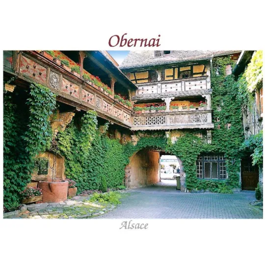 Carte postale La Cours Fastinger à Obernai en Alsace